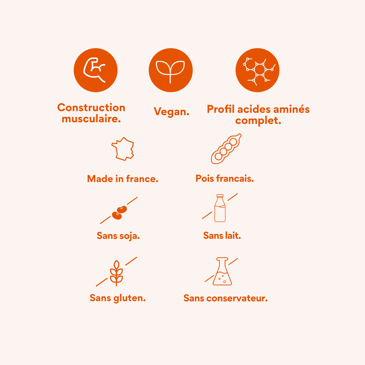 Pack of 5 sachets. Vegetable protein.