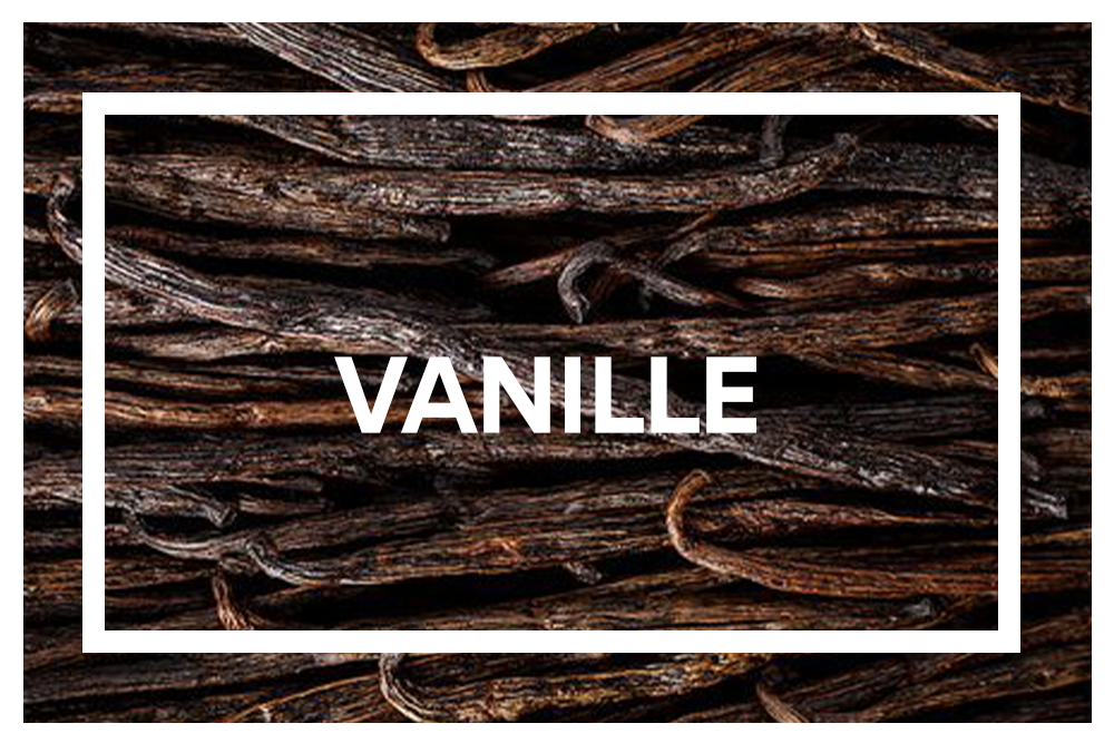 Vanilla. Chocolate.