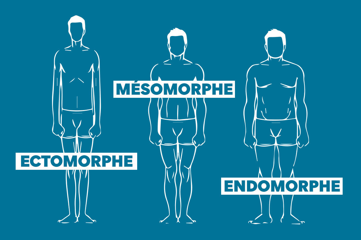 Morphotype : Tout savoir sur l’ectomorphe