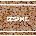 Sésame. Chocolat. 
