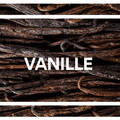 Vanilla. Chocolate. 